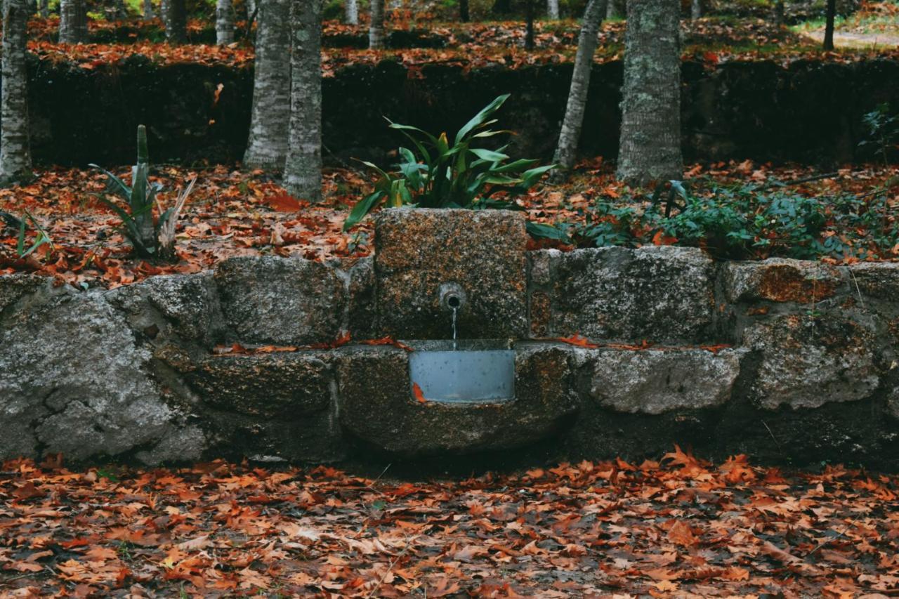 Quinta Das Fontes - Alojamento Rustico Local E Turismo Rural São Pedro do Sul Exterior photo