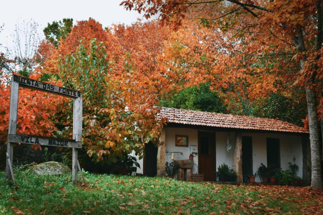 Quinta Das Fontes - Alojamento Rustico Local E Turismo Rural São Pedro do Sul Exterior photo