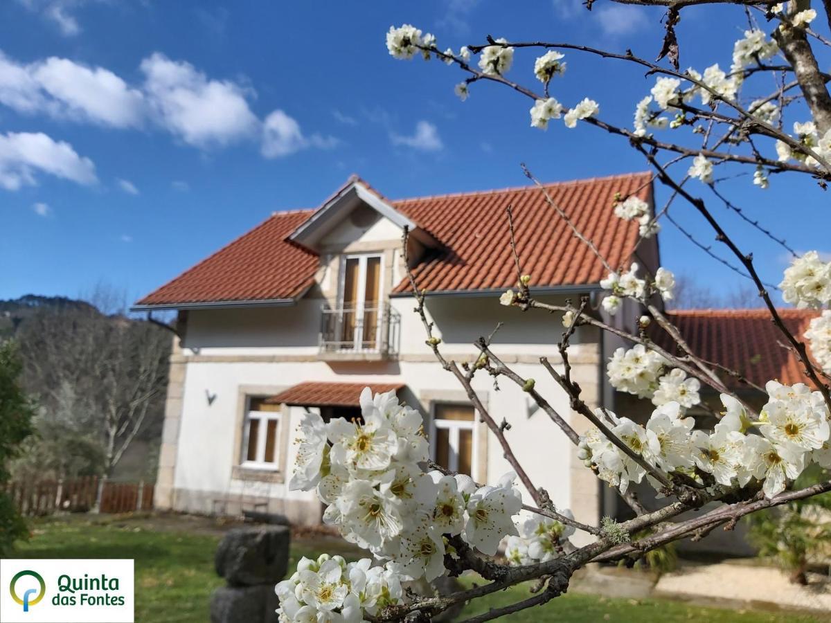 Quinta Das Fontes - Alojamento Rustico Local E Turismo Rural São Pedro do Sul Exterior photo
