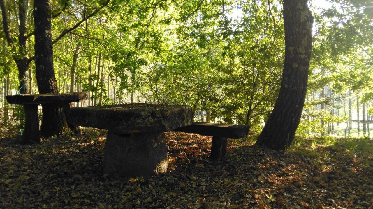 Quinta Das Fontes - Alojamento Rustico Local E Turismo Rural São Pedro do Sul Exterior photo