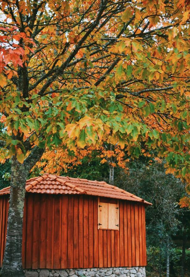Quinta Das Fontes - Alojamento Rustico Local E Turismo Rural São Pedro do Sul Exterior photo