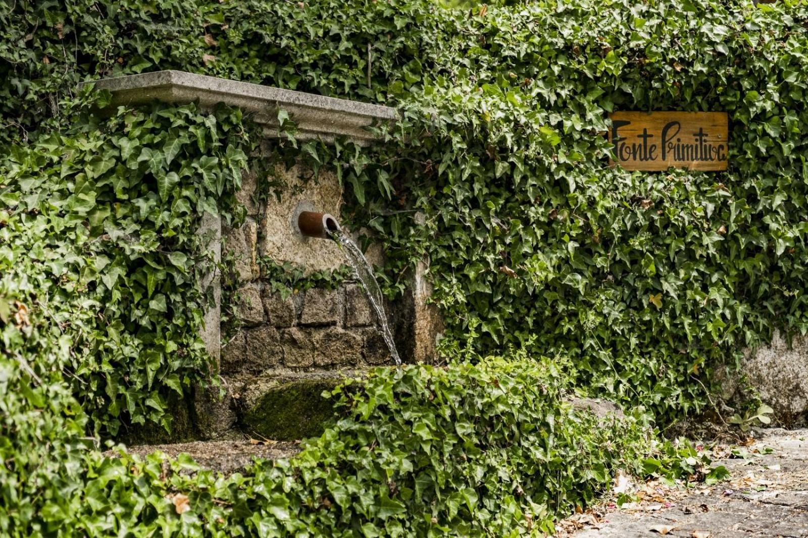 Quinta Das Fontes - Alojamento Rustico Local E Turismo Rural São Pedro do Sul Exterior photo