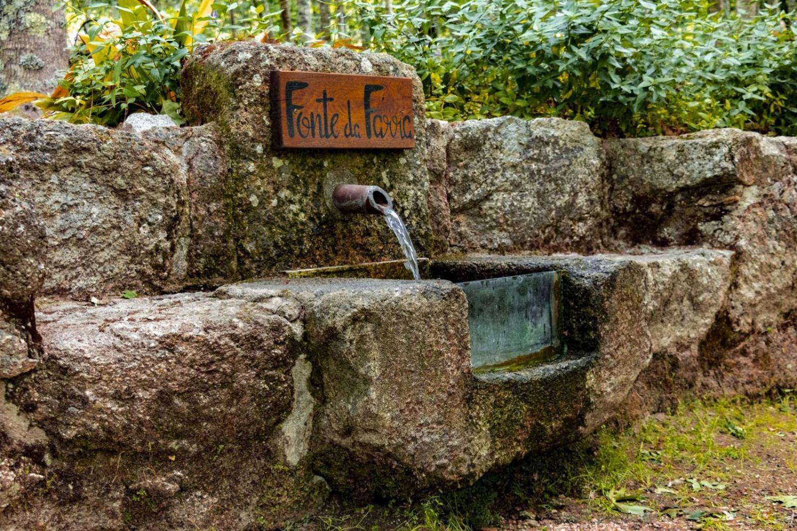 Quinta Das Fontes - Alojamento Rustico Local E Turismo Rural São Pedro do Sul Exterior photo